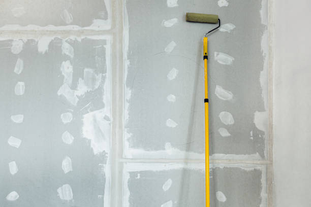 Best Dehumidification Services  in Munday, TX