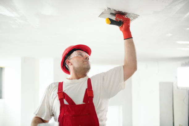 Environmental Consulting for Mold Prevention in Munday, TX