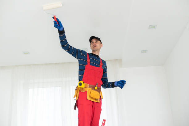 Best Post-Construction Mold Inspection  in Munday, TX