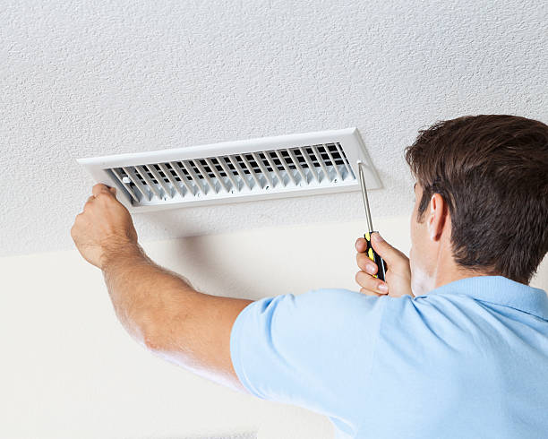 Best Mold Prevention Services  in Munday, TX