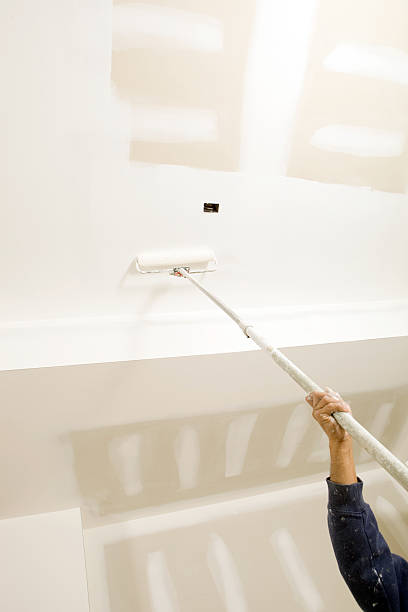 Biohazard Mold Removal in Munday, TX