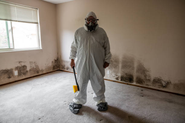 Best Environmental Consulting for Mold Prevention  in Munday, TX